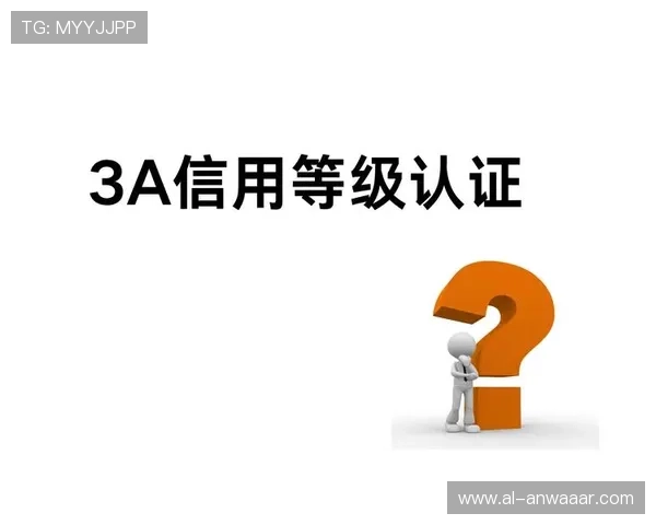 深入理解PA电子评级系统的工作原理及其对企业信用评估的重要作用