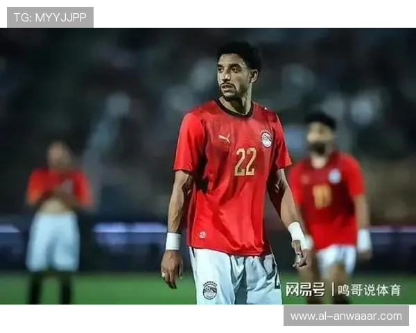 世界杯比利时埃及比赛中教练团队的战术布置与关键战术策略全面解析