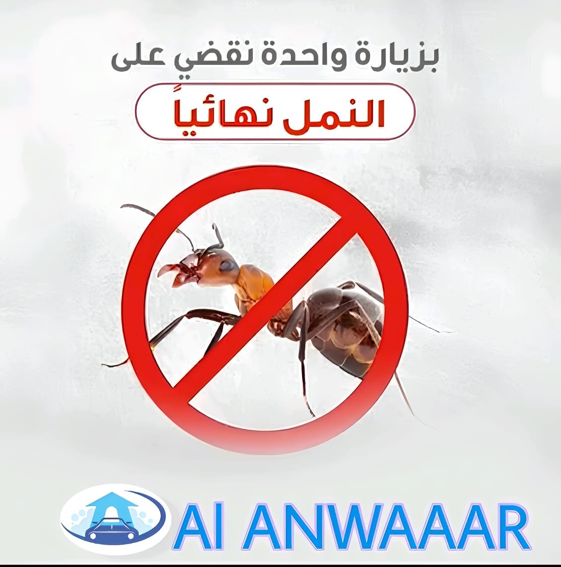 شركة رش مبيدات بالرياض