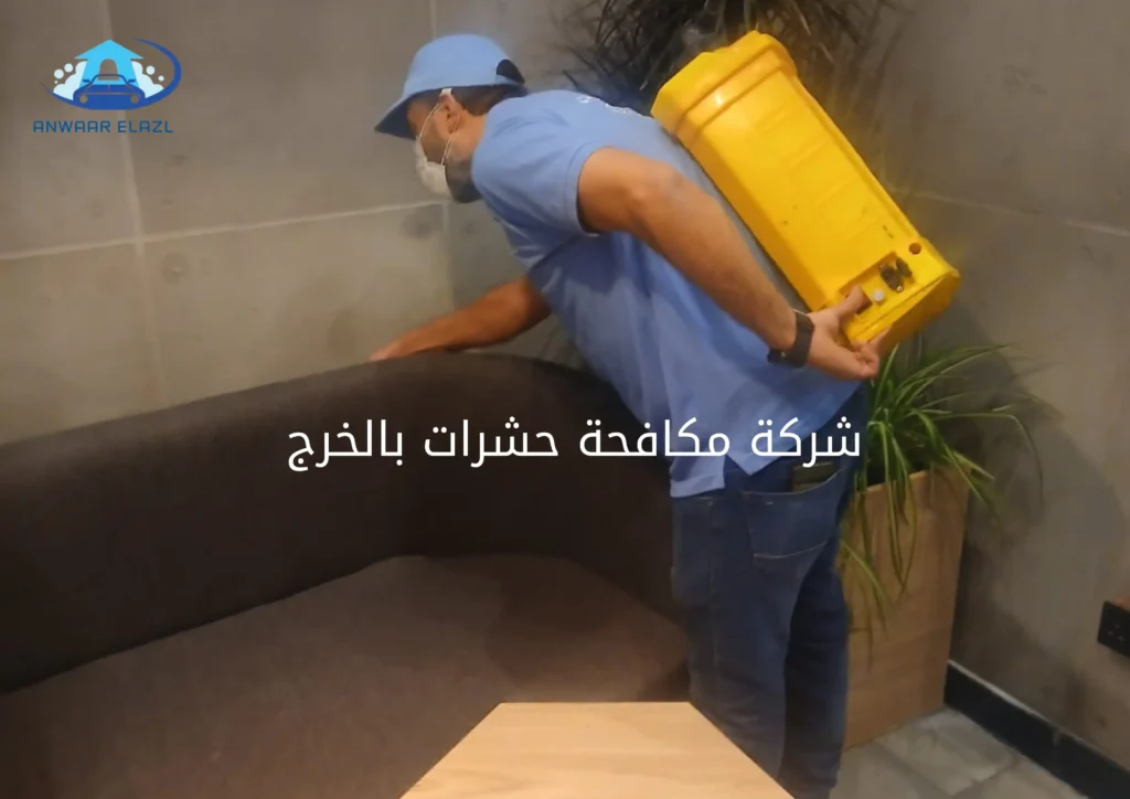 افضل شركة مكافحة حشرات بالخرج
